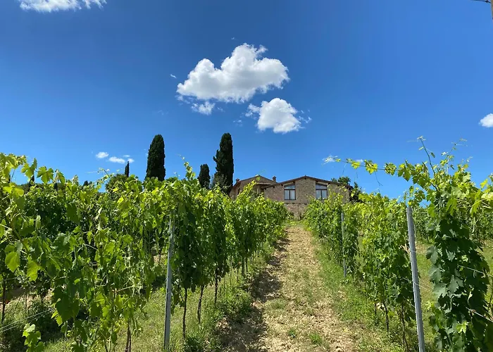 Tenuta Sovestro
