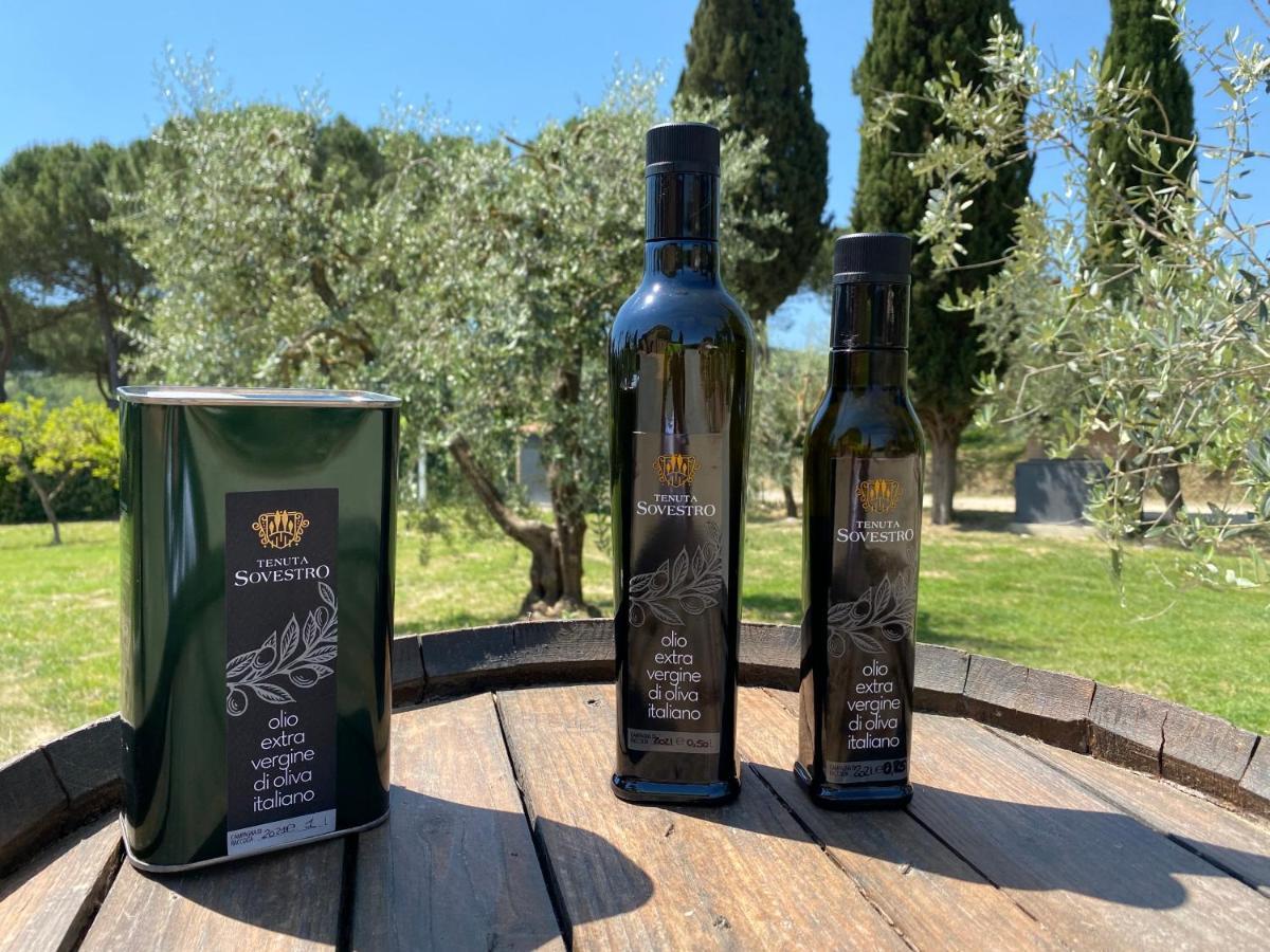 Tenuta Sovestro * San Gimignano