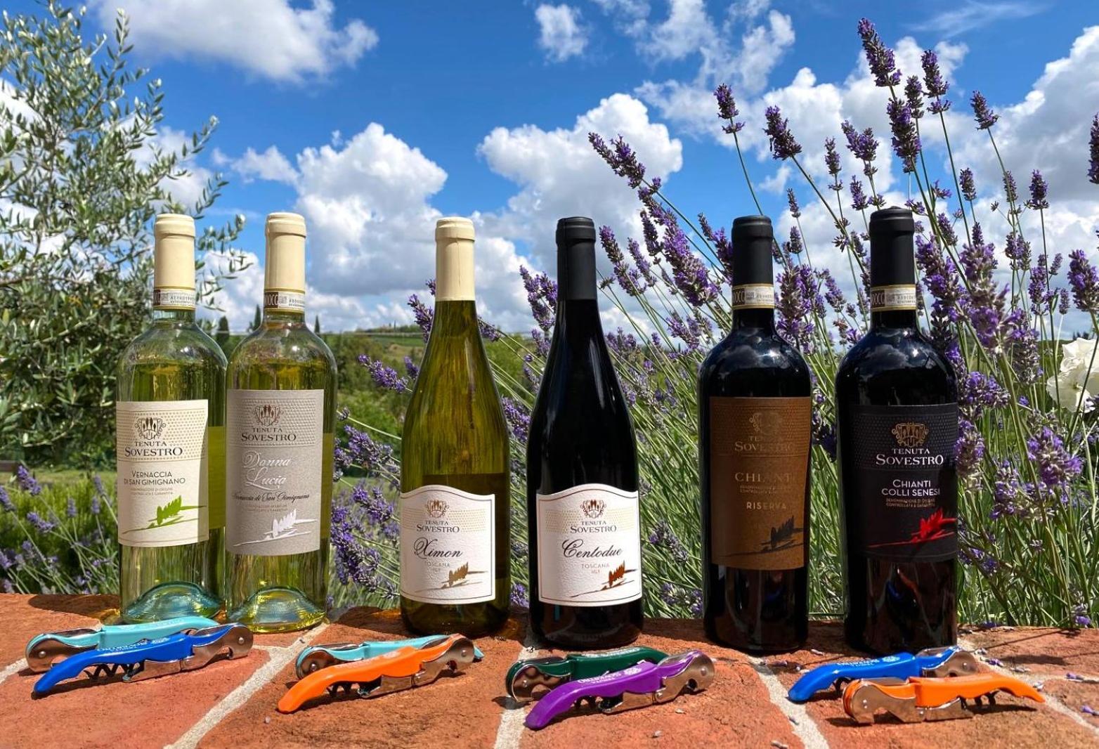 Tenuta Sovestro San Gimignano