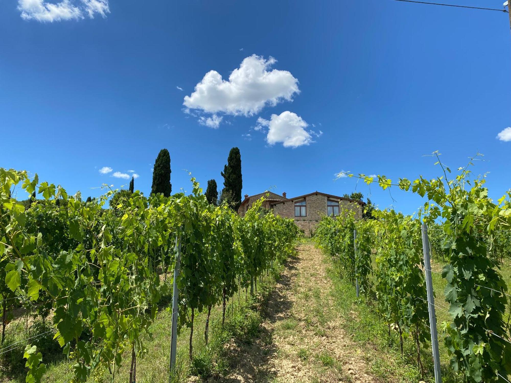 Séjour à la ferme Tenuta Sovestro San Gimignano
